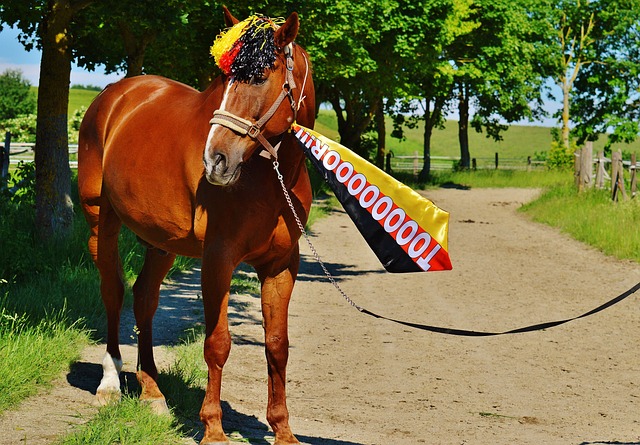 将部分舞台 将部分舞台