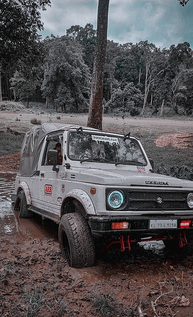 成功晋级决 成功晋级决