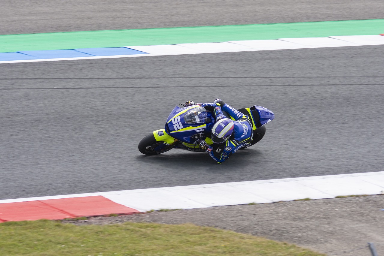 年轻球员们 年轻球员们