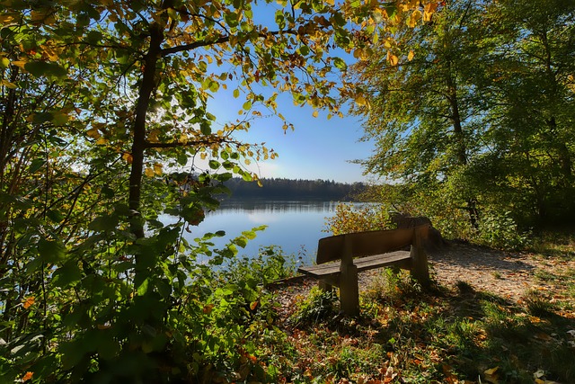 调整虽然风 调整虽然风