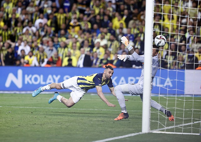 場勝利標誌 場勝利標誌