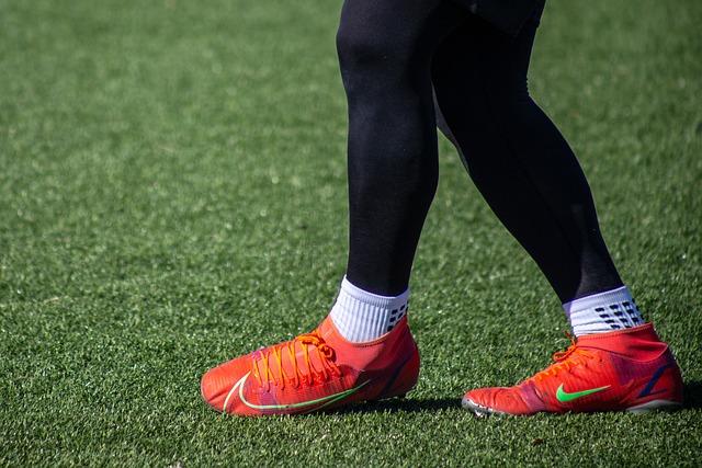 在此过程中 在此过程中