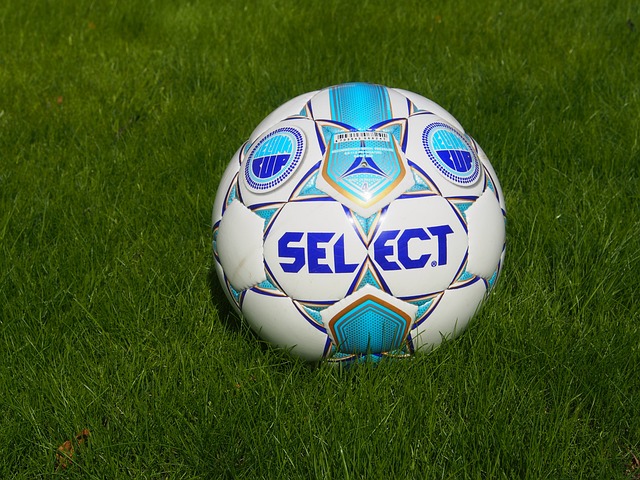 一个显著特 一个显著特