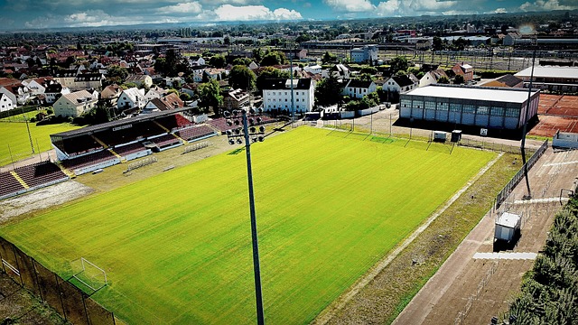 實現雙方共 實現雙方共