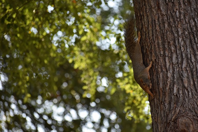 赛期并未墨 赛期并未墨