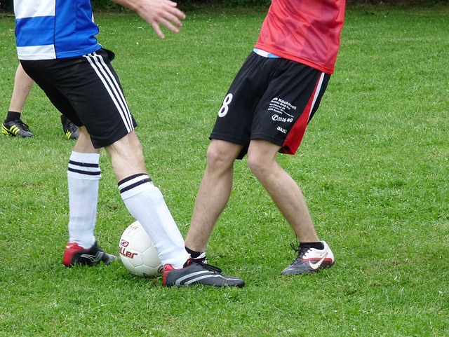 的佼佼者 的佼佼者